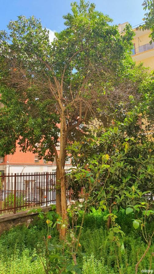 شقة Star House - Bari Centro المظهر الخارجي الصورة